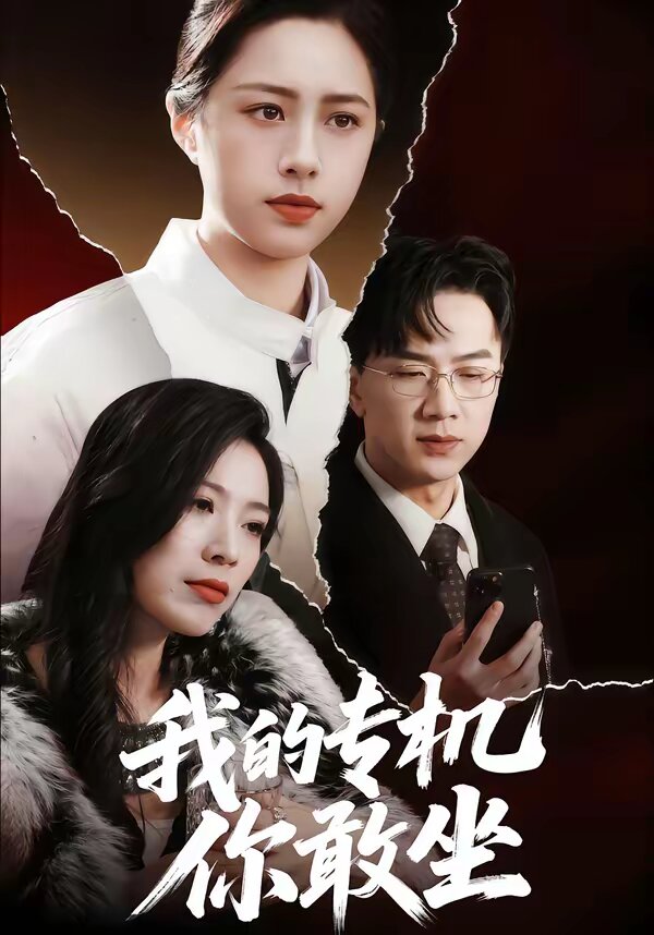 我的专机你敢坐